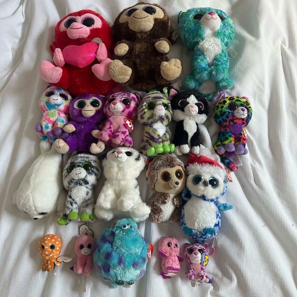 Beanie Boo Bundle